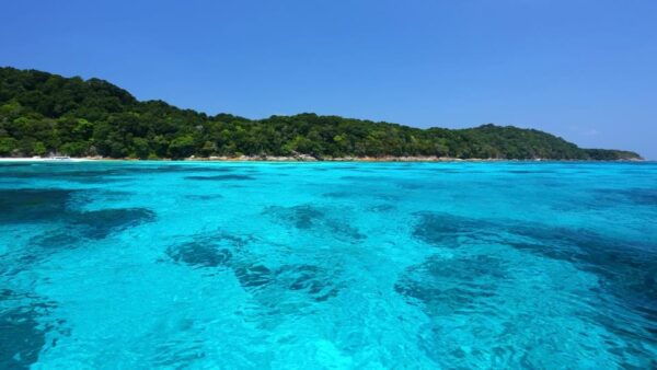 Phuket/Khaolak: Full-Day Similan Islands Boat & Snorkel Tour - What to Bring