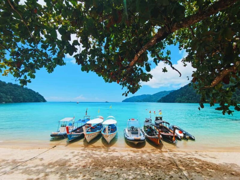 Phuket/KhaoLak : Surin Islands Full Day Snorkeling Speedboat - Practical Details and What to Expect