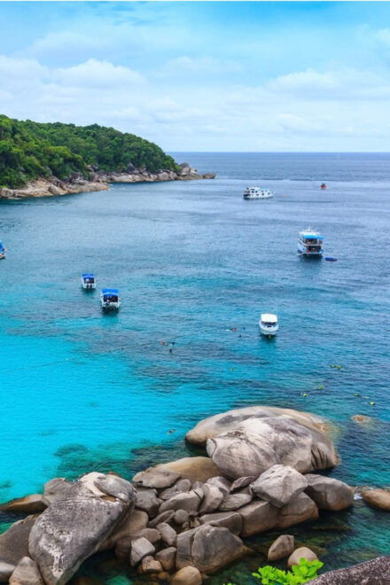 Phuket & Khaolak:Full-Day Similan Islands by Speed Boat Tour - Highlights of the Tour