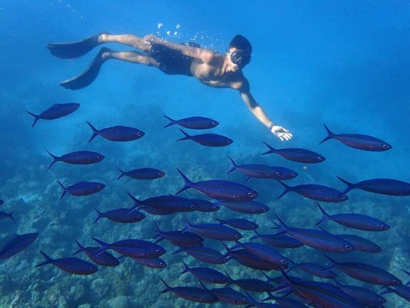 Phuket: Koh Rok and Koh Ha Day Trip (Best of Marine Park) - An In-Depth Look at the Tour Experience