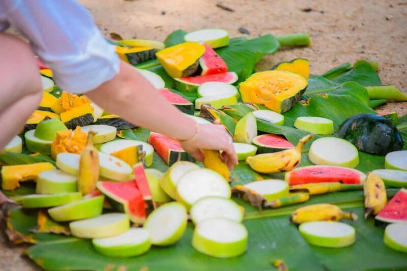 Phuket: Lily Elephant Conservation - Jungle to Sea Discovery - Good To Know