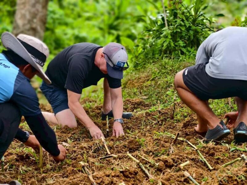 Phuket: Lily Elephant Half day Trip on the Beach with lunch - Transportation & Practicalities