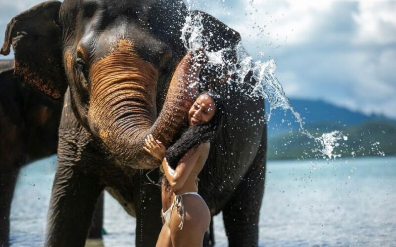 Phuket: Lily Elephant Half day Trip on the Beach with lunch - Insights from Reviewers