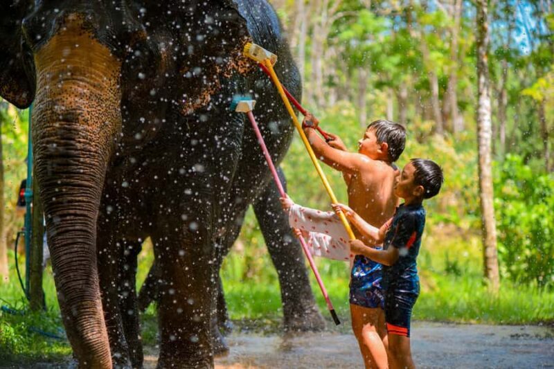Phuket: Lily Elephant Half day Trip on the Beach with lunch - Who Will Love This Tour?