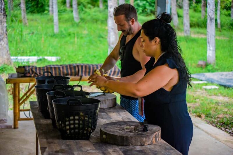 Phuket: Lily Elephant Half day Trip on the Beach with lunch - FAQ