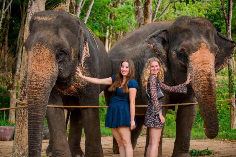 Phuket: Make & Meet The Gentle Giant Experience - Good To Know
