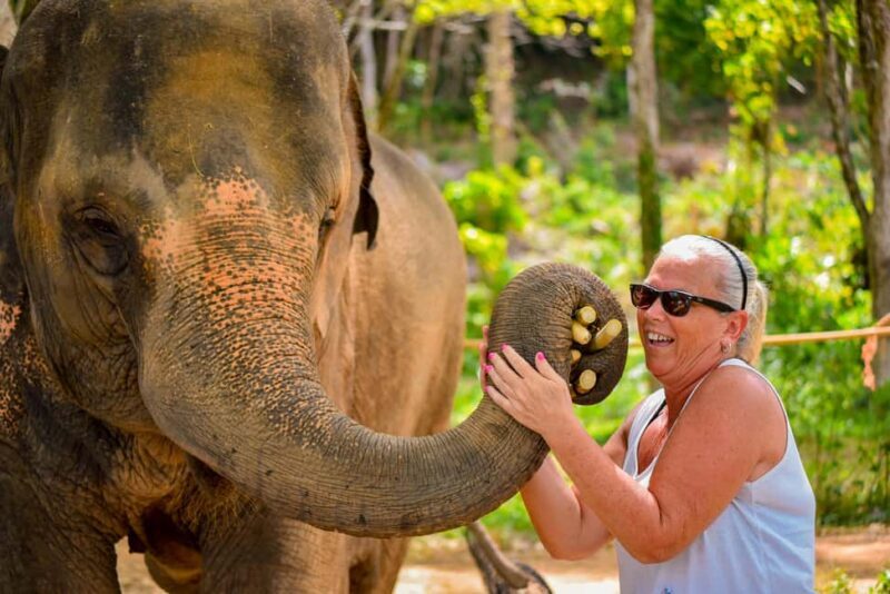 Phuket: Make & Meet The Gentle Giant Experience - A Detailed Look at the Experience