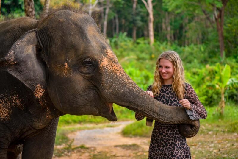 Phuket: Make & Meet The Gentle Giant Experience - Why This Tour Offers Good Value