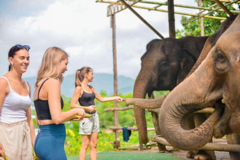 Phuket: Make & Meet The Gentle Giant Experience - Who Should Consider This Experience?