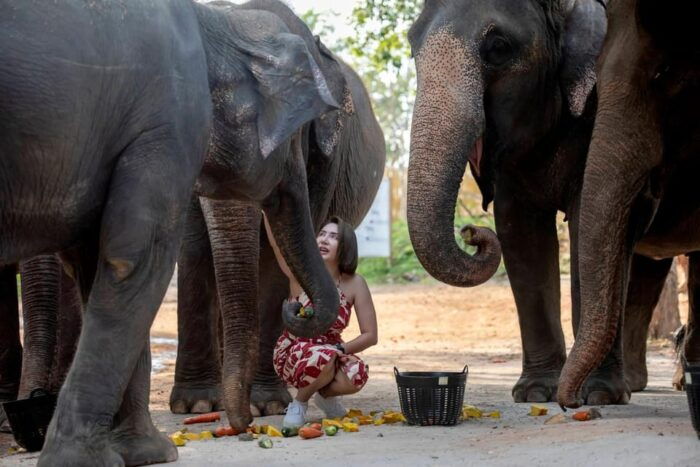 Phuket: Meet Feed & Relax With Elephant - Getting to the Elephant Hut