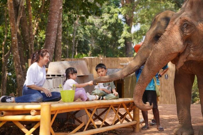 Phuket: Meet Feed & Relax With Elephant - Additional Information