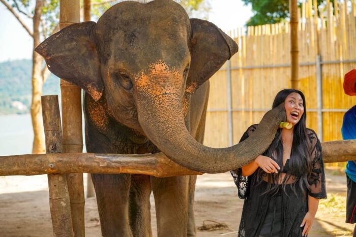 Phuket: Meet Feed & Relax With Elephant - Frequently Asked Questions