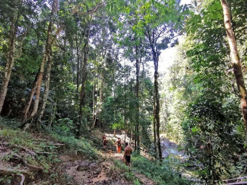 Phuket: Monkey Cave, Water Rafting, Waterfall & Zipline Tour - Who Should Consider This Tour?