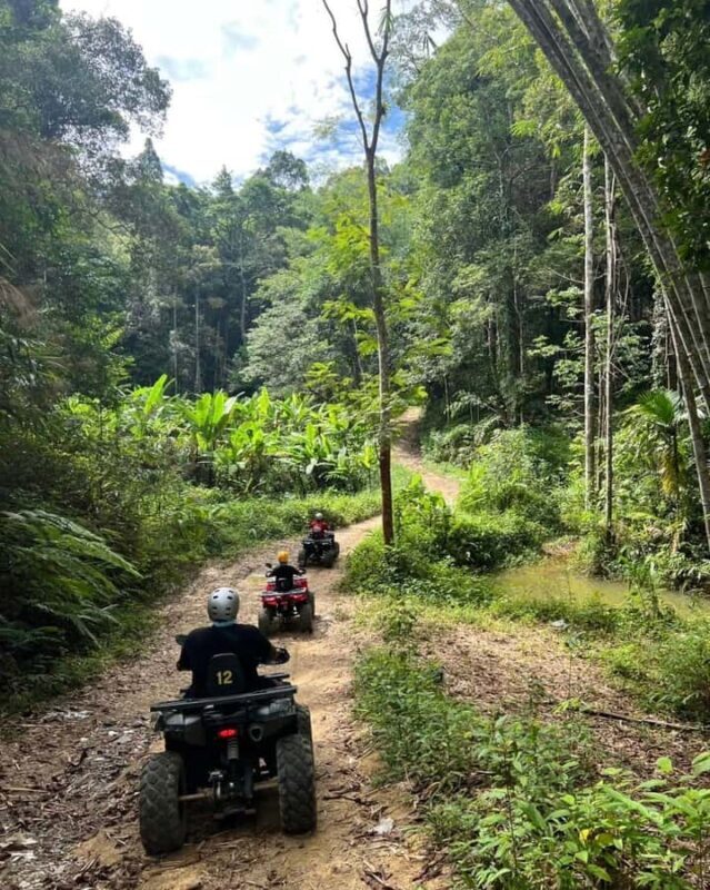 Phuket: Mountain ATV & Zipline Experience with Sea View - Who Should Consider This Tour?