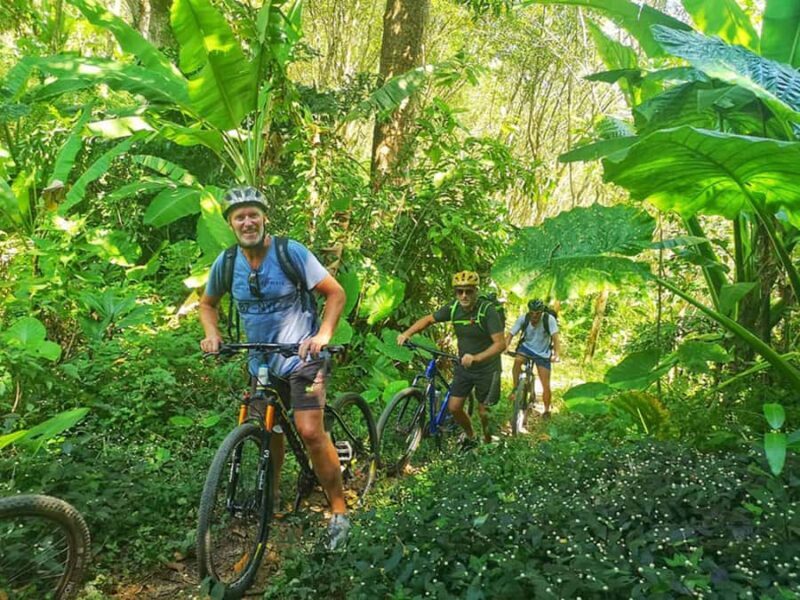 Phuket Mountain Bike Tour On Koh Yao Noi - What to Expect from the Koh Yao Noi Mountain Bike Tour