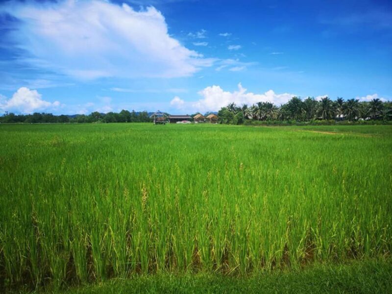 Phuket Mountain Bike Tour On Koh Yao Noi - The Sum Up