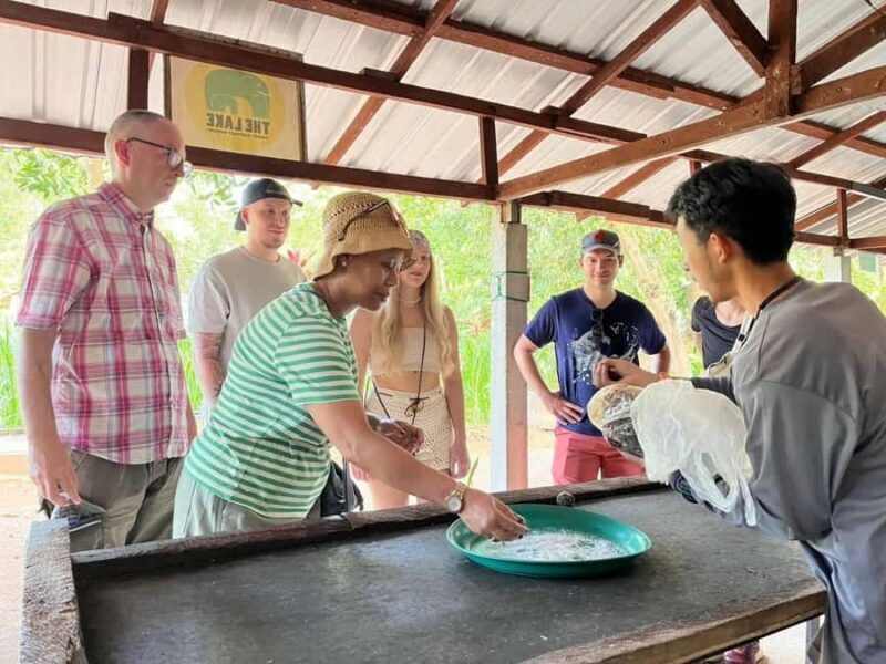 Phuket: Nature walk & Herb Ethical Wellness Elephant Tour - Good To Know