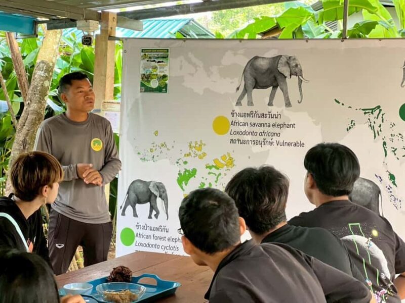 Phuket: Nature walk & Herb Ethical Wellness Elephant Tour - Good To Know
