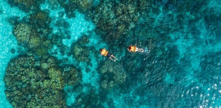 Phuket or Khao Lak: Surin Islands & Moken Village Day Trip - Key Points
