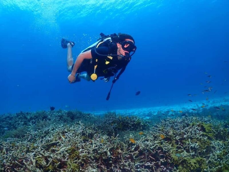 Phuket: PADI Advanced Open Water Course 2 days/6 Dives - Authentic Insights from Reviewers