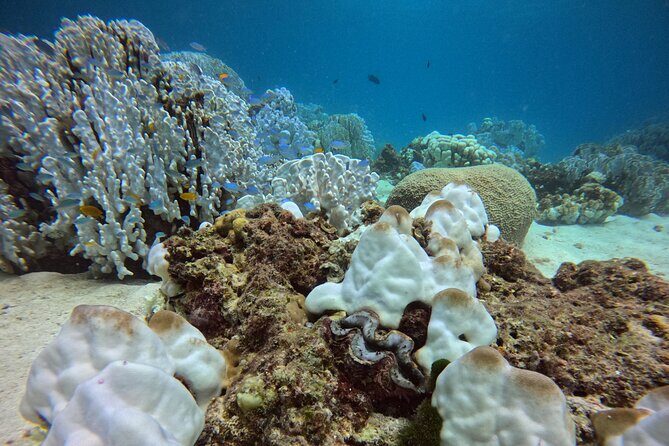 Phuket: PADI Discover Scuba Diving 1 beach dive - FAQ