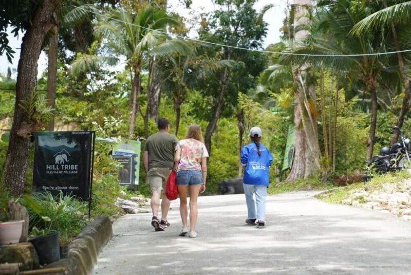 Phuket: Patong Elephant Sanctuary Observe & Learn Experience - An Overview of the Experience