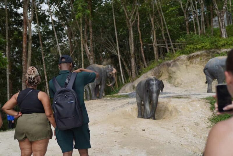Phuket: Patong Elephant Sanctuary Observe & Learn Experience - The Ethical Approach and Its Impact