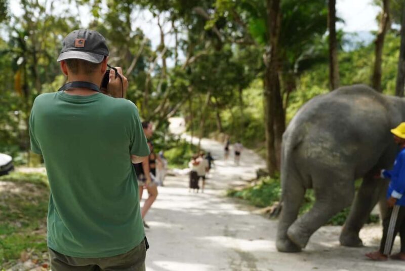 Phuket: Patong Elephant Sanctuary Observe & Learn Experience - What We Like & What to Consider