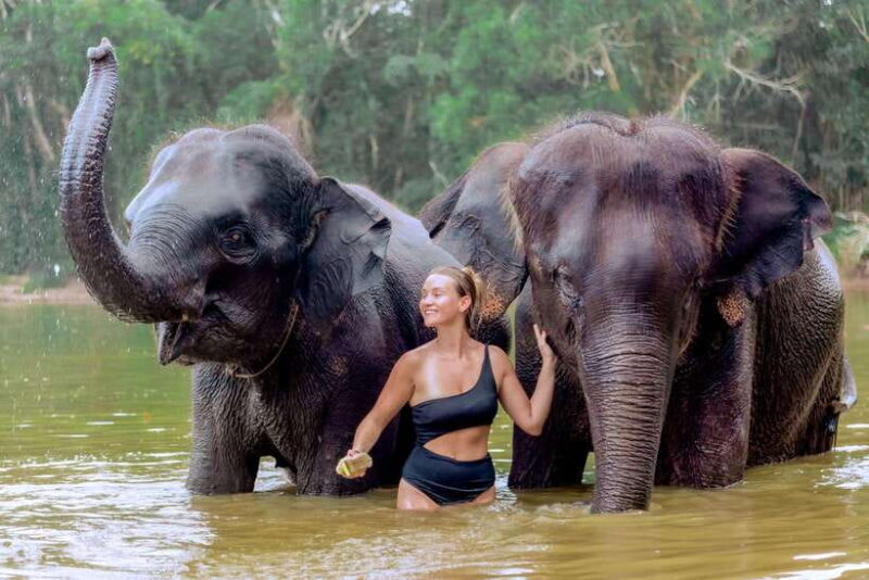 Phuket: Patong Ethical Elephant Sanctuary Tour with Transfer - FAQ