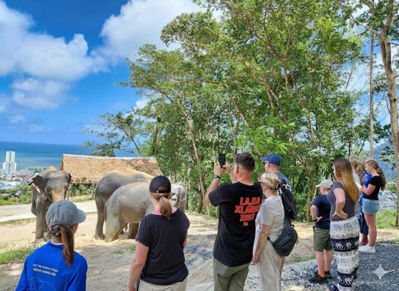 Phuket: Patong Ethical Elephant Sanctuary Tour with Transfer - Good To Know