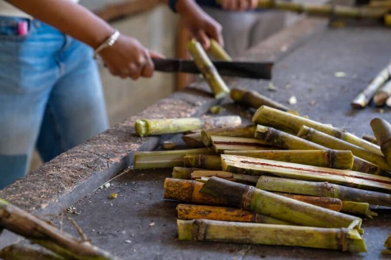 Phuket: Patong Ethical Elephant Sanctuary Tour with Transfer - Price and Value Analysis