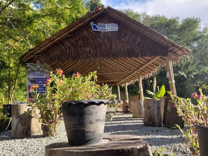 Phuket: Patong Ethical Elephant Sanctuary Tour with Transfer - Who Should Consider This Tour