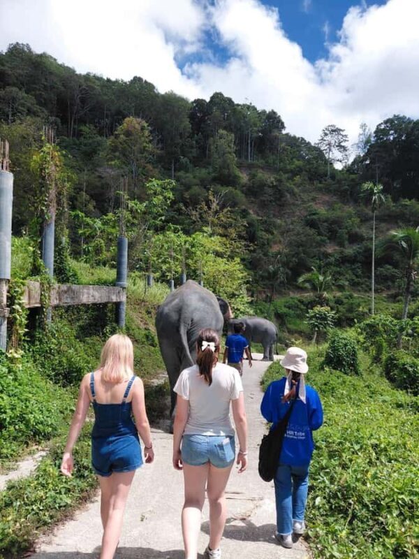 Phuket: Patong Ethical Elephant Sanctuary Tour with Transfer - FAQs