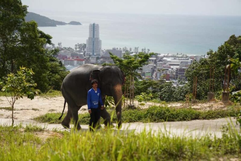 Phuket: Patong Highlights Elephant Sanctuary Tour - The Supportive Community and Ethical Focus