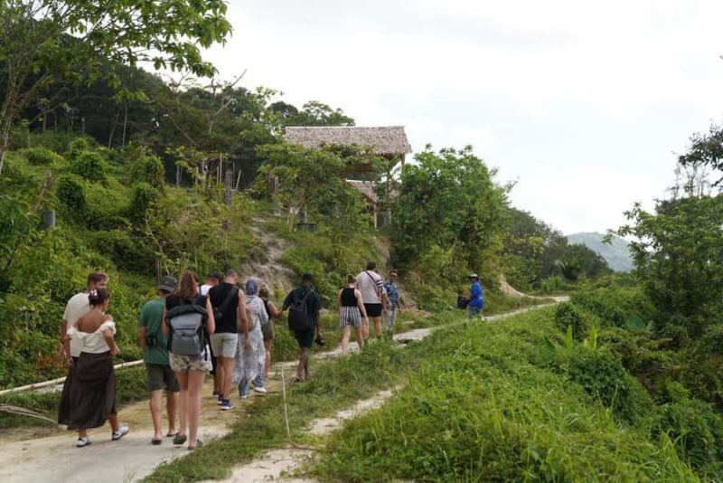 Phuket: Patong Highlights Elephant Sanctuary Tour - What Travelers Are Saying