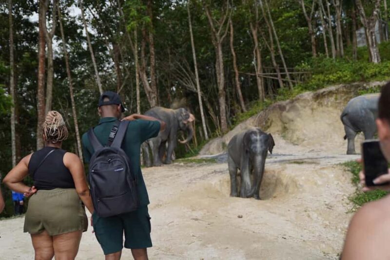 Phuket: Patong Highlights Elephant Sanctuary Tour - FAQs