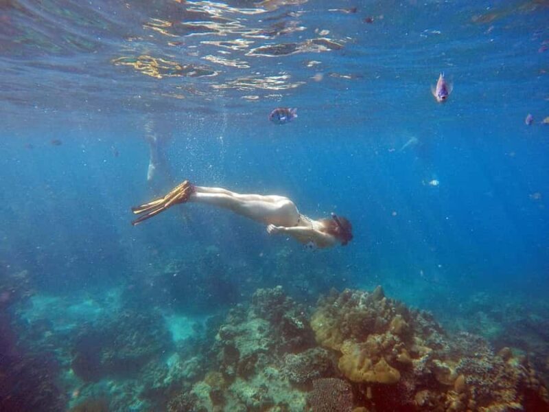 Phuket: Phi Phi & Bamboo Island by Speedboat - Good To Know