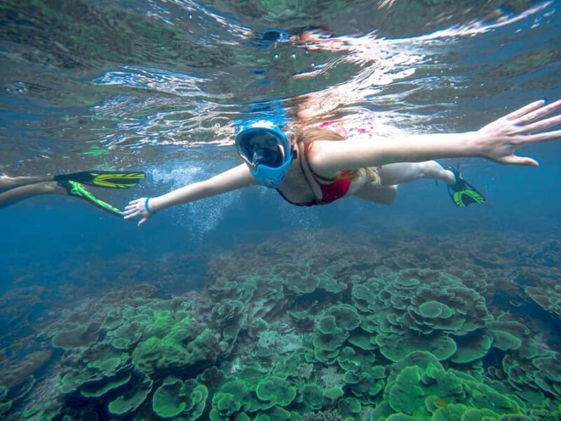 Phuket: Phi Phi & Bamboo Island by Speedboat - A Deep Dive into the Experience