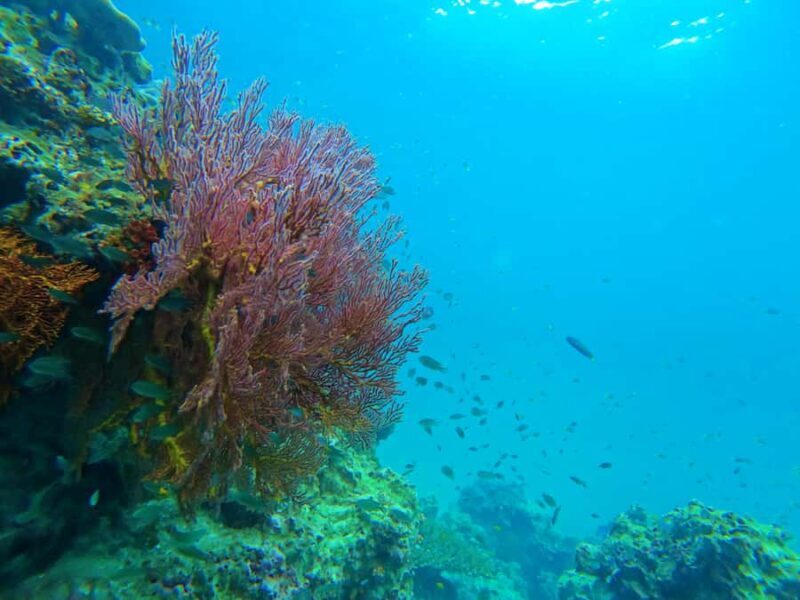 Phuket: Phi Phi & Bamboo Island by Speedboat - Final Thoughts