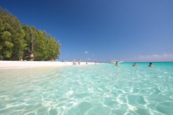 Phuket : Phi Phi Island, Bamboo Island Tour by Speed Boat - Questions You May Have