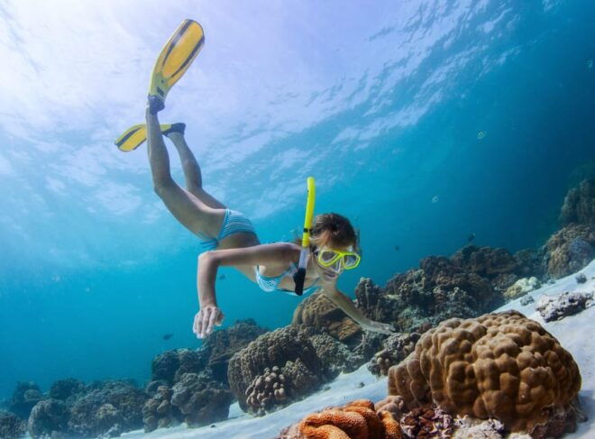 Phuket: Phi Phi Island Hopping Day Trip by Speed Boat - Important Safety Information