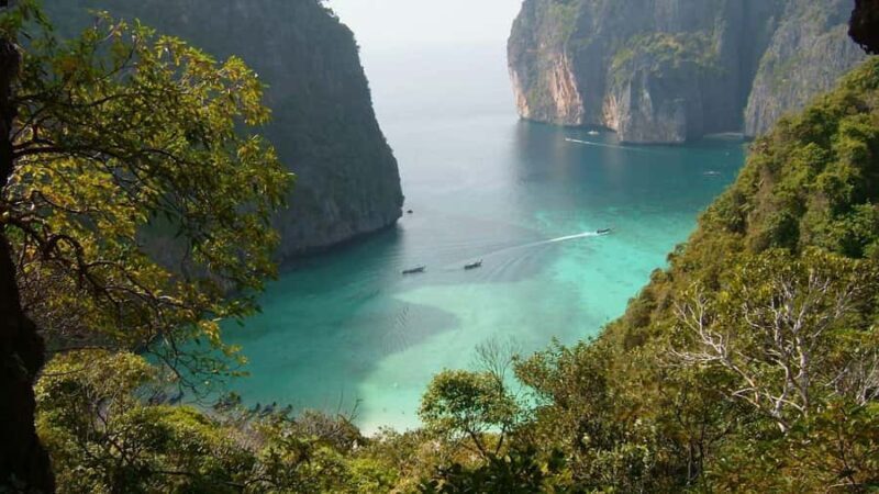Phuket: Phi Phi Island Shark spotting sunset tour - Good To Know