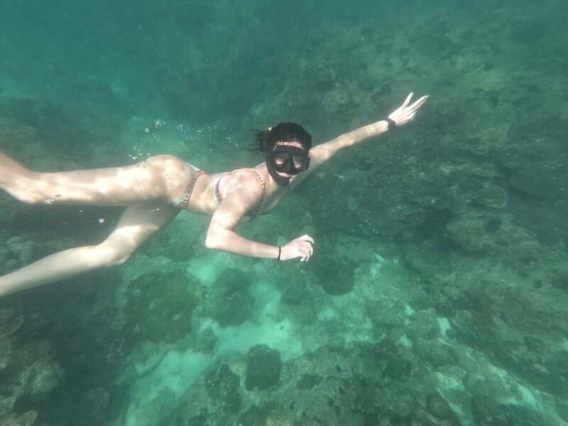 Phuket: Phi Phi Island Shark spotting sunset tour - An Honest Look at the Phi Phi Sunset & Shark Tour