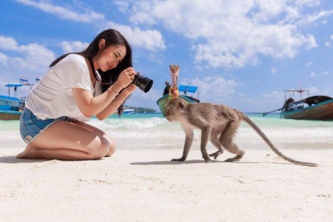 Phuket: Phi Phi Islands and Maya Bay Day Trip With Lunch - Review Summary