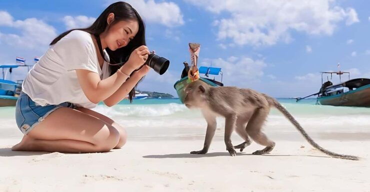 Phuket: Phi Phi Islands, Bamboo Island, and Pileh Lagoon … - Key Points