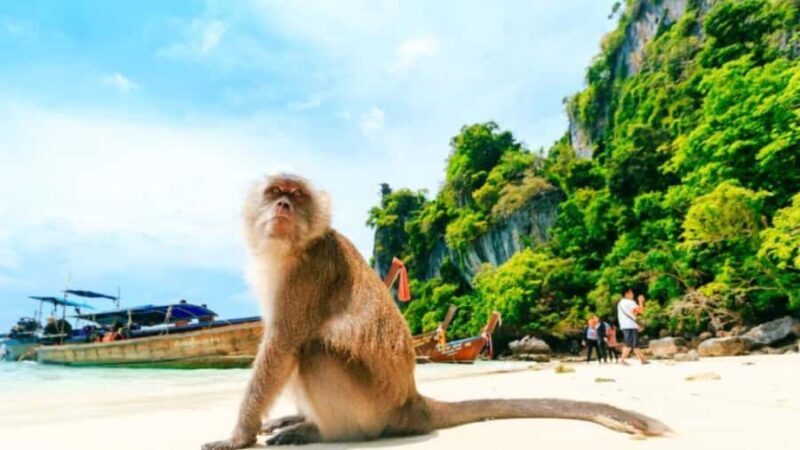 Phuket: Phi Phi Islands, Bamboo Island and Pileh Lagoon Trip - The Sum Up