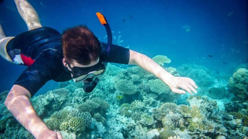 Phuket: Phi Phi Islands, Bamboo Island and Pileh Lagoon Trip - FAQs