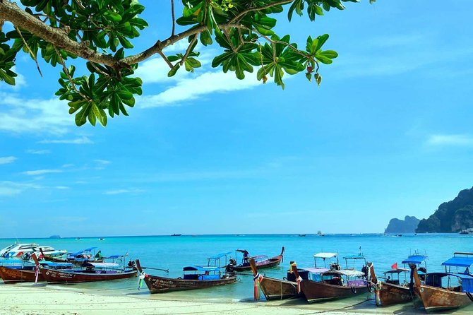 Phuket: Phi Phi Islands by Ferry With Snorkeling and Lunch (Sha Plus) - Benefits and Features of the Tour