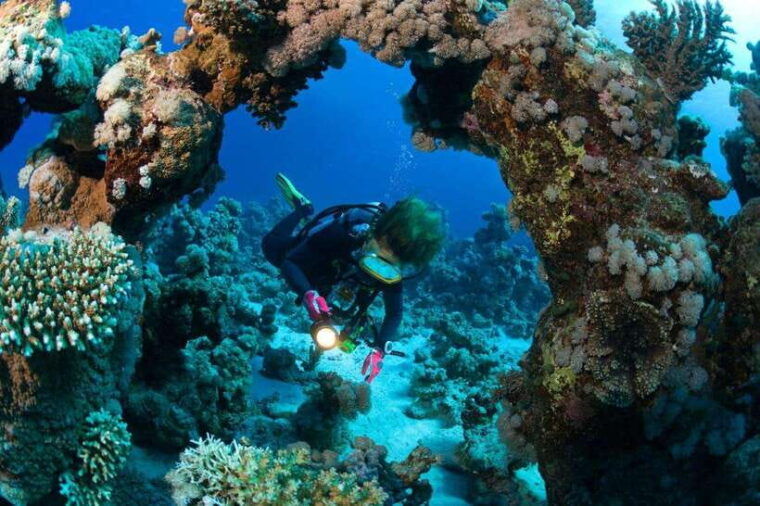 Phuket: Phi Phi Islands & Shark Point Certified Scuba Dives - Pickup and Transfers