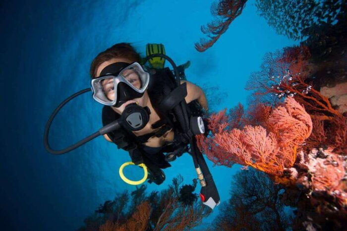 Phuket: Phi Phi Islands & Shark Point Certified Scuba Dives - Diving Insurance and Safety